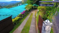 Villa Perpetua Hotels in 