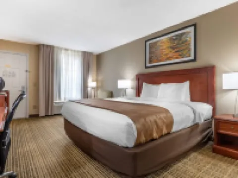 Quality Inn Cheraw Hotels in Cheraw
