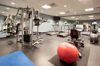 Holiday Inn ROCK SPRINGS by IHG - Gym