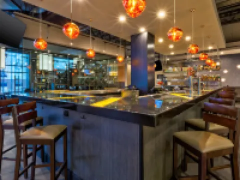 Hotel Indigo ROCHESTER – MAYO CLINIC AREA by IHG Hotels in Rochester