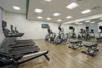 Holiday Inn Express & Suites DALLAS-FRISCO NW TOYOTA STDM by IHG - Gym