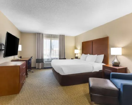 コンフォート イン & スイーツ サイクストン I-55 マイナーのホテル