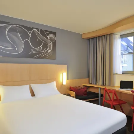 Ibis de Panne