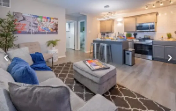 Beautiful Contemporary Suite #15