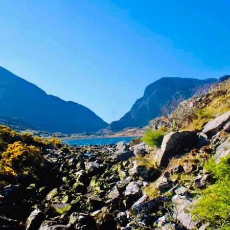 Cosy Farm Cottage on the Ring of Kerry