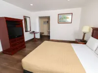 Hotel El Ejecutivo Hotels near Plaza El Mexicano