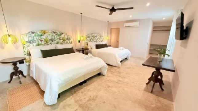 คาซา อาเรกา โรงแรมใน