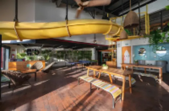 Mayan Monkey Cancun - Social Hotel