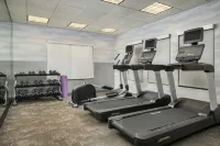 Fairfield Inn & Suites Dallas Mansfield - Gym