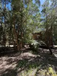 Cabañas Mountain Fox - homestay