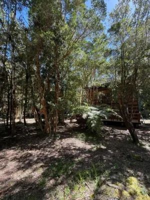 Cabañas Mountain Fox Các khách sạn ở 