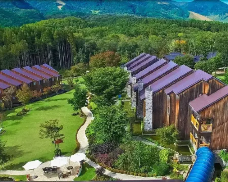 Hotel Sierra Resort Hakuba Hotels in Hakuba