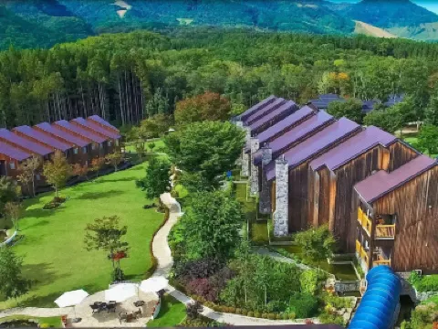 Hotel Sierra Resort Hakuba Отели в г. 