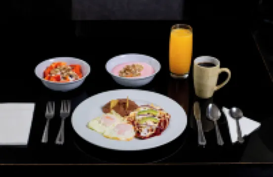 Hotel Los Cedros Inn Delicias