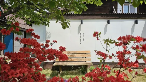 Pohang Hwajin Byeoljang Pension - que admiten mascotas