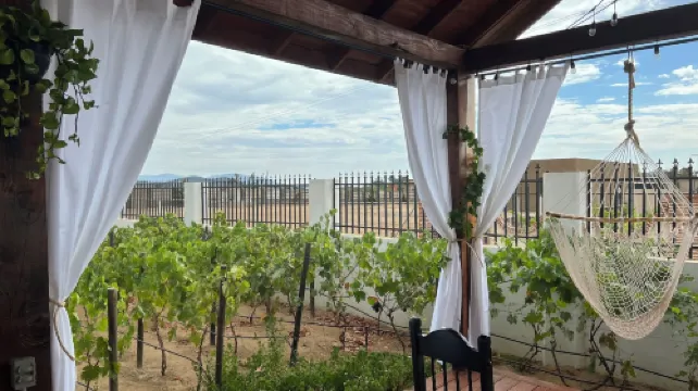 아시엔다 7 아모레스