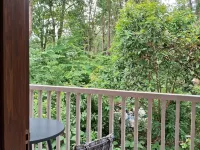 RED RIVER RETREAT Hotels in Hatikhuli T.E.