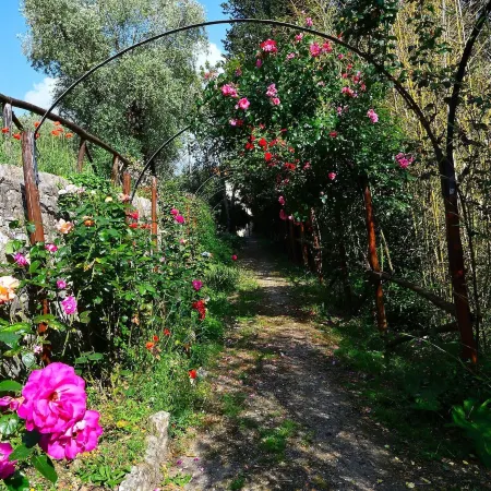 Villa Il Frassine