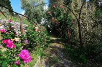 Villa Il Frassine - Private Pools