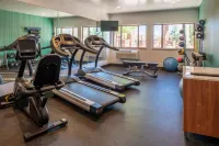 Holiday Inn Express & Suites GUNNISON by IHG - Gym