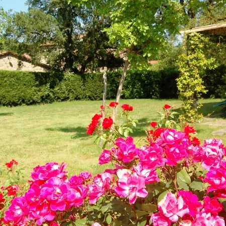 Three-Room Apartment on the Outskirts of Chianti