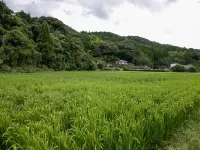 山江温泉ほたる