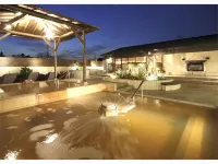 武藏野 SPA 大酒店 - 溫泉