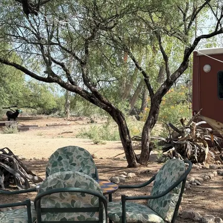 Ranchito Paraiso: Artsy Farm Stay in the Desert
