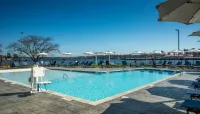 Doubletree by Hilton Hot Springs - Wi-Fi