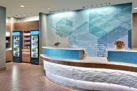 鹽湖城德雷珀萬豪SpringHill飯店 - Wi-Fi