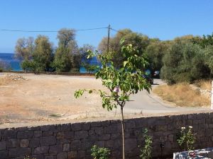 Leonidas Stone Houses Near Beach 50 Meters Away From Tavern With Local Food