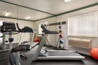 Baymont Inn & Suites by Wyndham Swanton/Toledo Airport - Gym