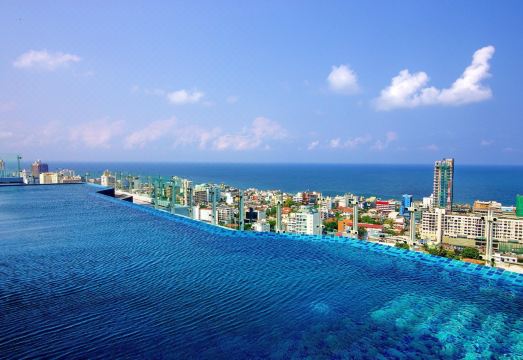 시나몬 레드 콜롬보