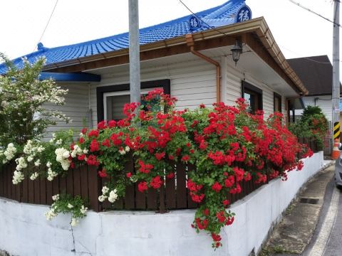 속리산 국립공원 입구 근처 풍경