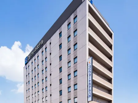 Comfort Hotel Hachinohe Отели в г. Намбу