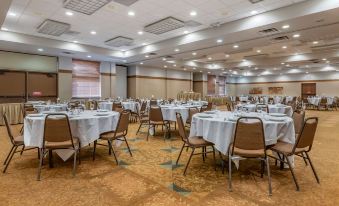 Comfort Inn Okemos - East Lansing