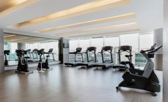 Hilton Garden Inn Mexico City Santa Fe