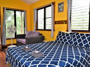 One Bedroom Tree Top Studio Vacation Home @ the Tropical Acre San Ignacio Belize