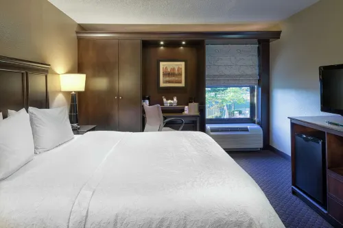 Hampton Inn Tuscaloosa-University - Parkering