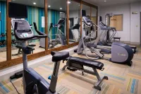 Holiday Inn Express & Suites ALAMOGORDO by IHG - Gym