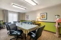 Comfort Inn & Suites St Pete - Clearwater International Airport - Airport Shuttle