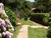 Mesón de Sancho Hotels in Tarifa