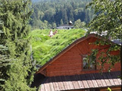 a wooden house with a green roof and a view of the mountains in the background at Troll