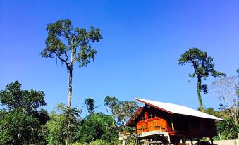 Chiang Dao Hut
