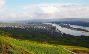 Gasthaus Weingut Stahl