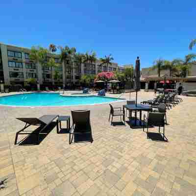 ダブルツリー バイ ヒルトン ブエナ パーク Rooms