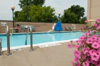 Hampton Inn Louisville-North/Clarksville - Pools