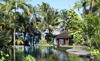 a lush tropical garden with a pond , surrounded by palm trees and lush vegetation , creating a serene and inviting atmosphere at Sinalei Reef Resort & Spa