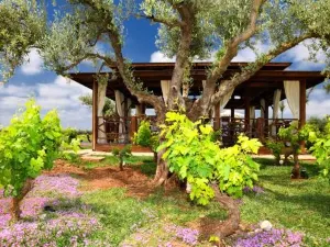 Château Roslane Boutique hôtel & Spa