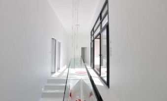 House Zyx